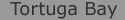 tortuga