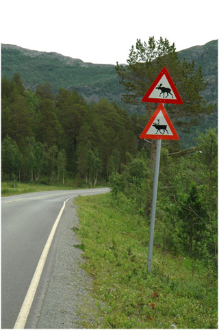 Skandinavien