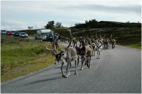 Skandinavien