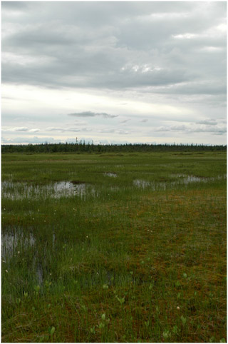 Skandinavien