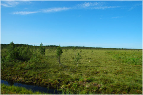 Skandinavien