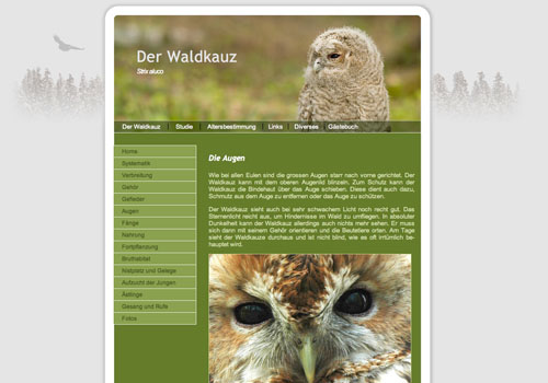 waldkauz